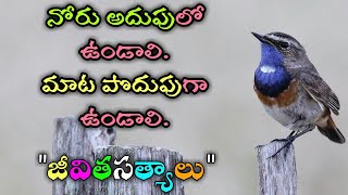 జీవిత సత్యాలు #71 |మంచి మాటలు|Inspirational quotes|Motivational quotes|సూక్తులు|Telugu quotes