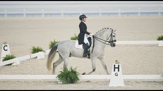 Come Show with Us! Dressage at WEC 2022