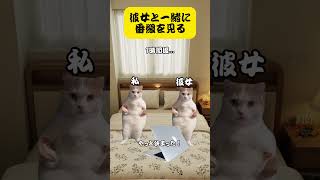 【猫ミーム】彼女と一緒に番組を見る#猫ミーム日常#猫マニ #猫ミーム#shorts #catmemes #猫の日