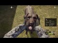 drei neue jagdhunde – extrawurst schoki u0026 keks im einsatz thehunter call of the wild 9