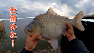 ヘラブナ釣りの遊園地みたいな水系で遊ぶのが私の人生