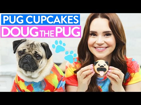 DIY PUG CUPCAKES w/ Doug the Pug! DIY PUG CUPCAKES w/ Doug the Pug!