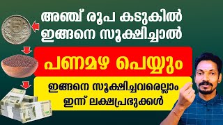 കടുകില്‍ അഞ്ചു രൂപ ഇങ്ങനെ സൂക്ഷിച്ചാൽ പണം മഴപെയ്യും.ഇത് ചെയ്തവരൊക്കെ ഇന്ന് ലക്ഷപ്രഭുക്കൾ.