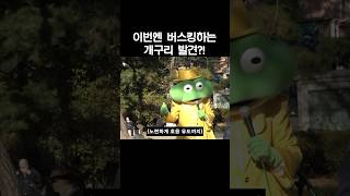 #탑골공원 에서 #세번째 발견된 #개구리… #나훈아 #무시로 #버스킹하는데 #관객수는…