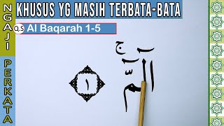 KHUSUS TERBATA BATA BELAJAR MEMBACA QURAN SURAH AL BAQARAH AYAT 1-5  KATA DEMI KATA DENGAN TAJWID