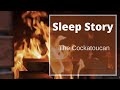 The Cockatoucan  | Fairy tale for Sleep | Story for better sleep | Crackling Fire Sound