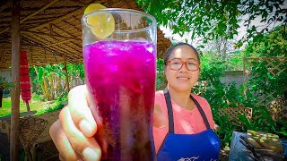 How to Make Blue Butterfly Pea Flower Iced Tea