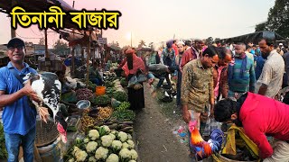 শীতের শাকসবজি, হাঁস মুরগির জমজমাট গ্রামীণ হাট। Village Market। তিনানী বাজার, শেরপুর ২০২৪