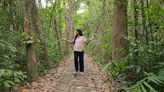 കിളികളെ കാണണമെങ്കിൽ കുമരകത്ത് ഇപ്പോൾ പോകണം / kumarakom bird sanctuary