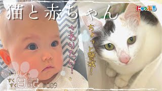 【猫と赤ちゃん】つかず離れず・・・【きぃとカリンのすくすく日記】【にゃっぷる】