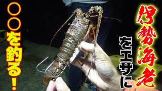 高級食材伊勢エビを丸ごとエサに堤防から○○を釣る！！