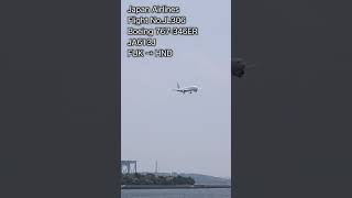 S-047【4K】京浜島つばさ公園から日本航空 JL306 便 RWY22 アプローチ