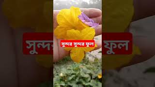 গ্রামের কিছু অবহেলিত ফুল#short#recipe # শেষ কথা ❤️❤️