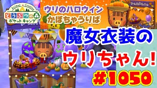 ウリちゃんのハロウィン家具がかわいい♪【ポケ森】#1050 ウリのハロウィンかぼちゃうりば★新SP家具登場♪