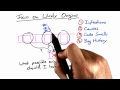 Likely Origin - Software Debugging
