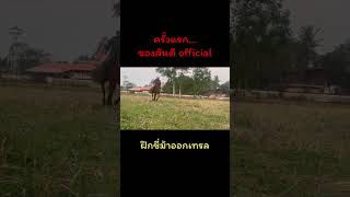 ขี่ม้าออกเทรล…ครั้งแรกของสันติ official