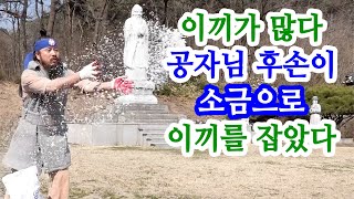 [유교약사생불사 1422강] 이끼가 많다. 공자님 후손이 소금으로 이끼를 잡았다.