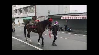 2022/04/02  二甲玄武殿北極玄天上帝往赤山巖進香