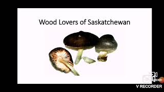 The MW - Wood Lovers of Saskatchewan