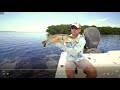 the breakdown topwater snook fishing mangrove points