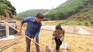 Growing ginger with an ex: Unexpected moments on the small farm. Ly Vy Ca