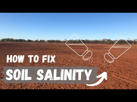What is meant by soil salinity?