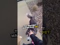 Delivery driver 🚚 has incredible dog encounter 😯