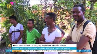 በአዳማ ከተማ ኑሯቸውን በጎዳና ያደረጉ ዜጎች ወደ ማዕከላት ገብተዋል