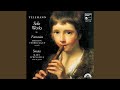 12 Fantasias for Transverse Flute without Bass, TWV 40:2-13: Fantasia No. 12 in G Minor