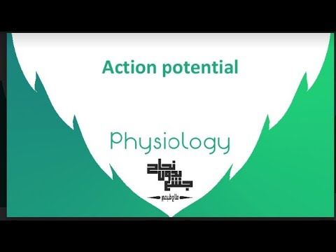 Action Potential, Physiology 1,Lec 8 - YouTube