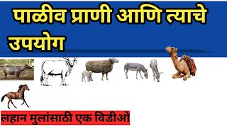 Domestic animals name with picture|पाळीव प्राणी|paliv prani|learn with jiya g