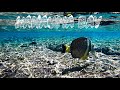 Unbelievable Snorkeling at Hanauma Bay Oahu, Hawaii