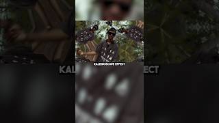 EASY Kaleidoscope Effect #aftereffectsedit #aftereffects #premierepro #edits #videoediting
