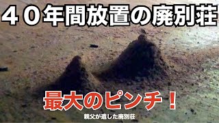 【DIY 22】  まさかの者に また遭遇してしまいます