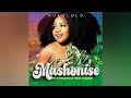 mashonise feat. teebay rsa u0026 tebza da guitar mukololo