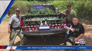 Johnson County Pot Plant Bust: Over 100 Marijuana Plants Seized FOX