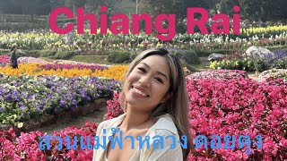 Chiang Rai Thailand 2023 /เชียงราย สวนแม่ฟ้าหลวง ดอยตุง และแม่สาย ตลาดชายแดนไทย-พม่า EP.43