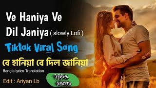 VE HANIYA VE DIL JANIYA । hindi song  Bangla_lyrics_Translate ( ভে হানিয়া ভে দিল জানিয়া ) Ariyanlb