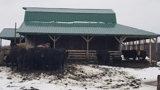 How to install diagonal braces on barn leanto