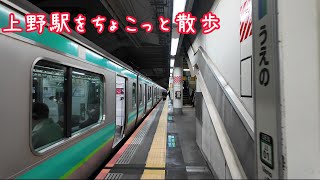 上野駅をちょこっと散歩