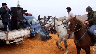 12.02.2025 Хабибулло полвон Абакан тулпорда маррани коиллатди