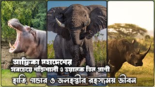 হাতি, গন্ডার ও জলহস্তীর রহস্যময় জীবন | Elephant, Rhino \u0026 Hippo #জলহস্তী #হাতি #গন্ডার