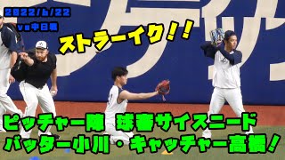 球審・サイスニード！バッター小川・キャッチャー高橋　明るいヤクルトピッチャー陣　2022/6/22 vs中日