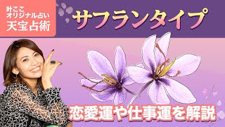 【天宝占術】開運アドバイス「サフランタイプ」は甘え上手になることが大切！TBS『占いメガネ』出演中