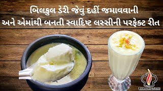 ડેરી જેવું ઘાટું, મલાઈદાર દહીં જમાવવાની અને એમાંથી બનતી સ્વાદિષ્ટ લસ્સીની પરફેક્ટ રીત