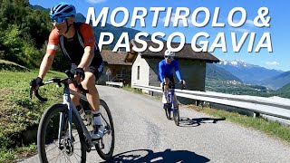 Mortirolo & Passo Gavia | Cycling Italy's Monster & it's Queen (Italy's Ultra - 11km @ 11%)