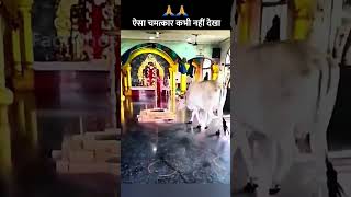 🙏 साईं बाबा के मंदिर में हुआ अद्भुत चमत्कार Live 🔴 | #shorts