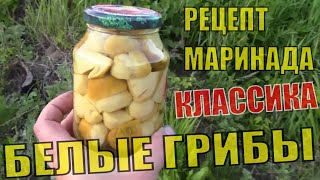 Классический рецепт маринования белых грибов Пошаговая инструкция приготовления маринада с гвоздикой