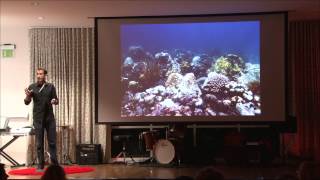 The importance of reef conservation | Ruben van Hooidonk | TEDxCoralGables