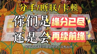 分手断联卡顿的你们，是缘分已尽，还是会重燃爱火、破镜重圆？/ta还喜欢你吗？/ta会主动联络你吗？